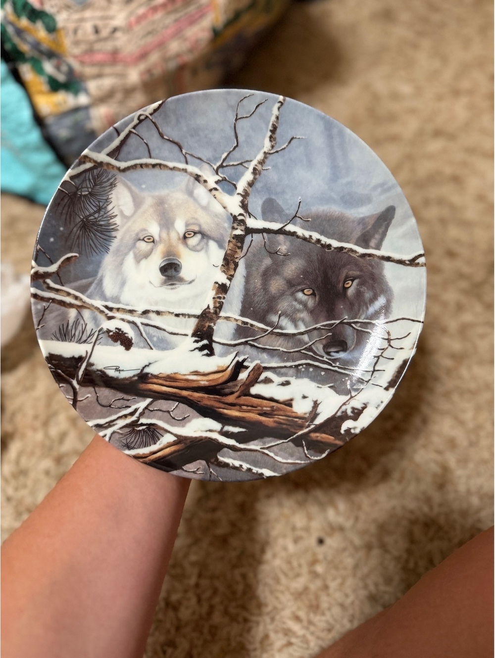 Vintage collectors plate